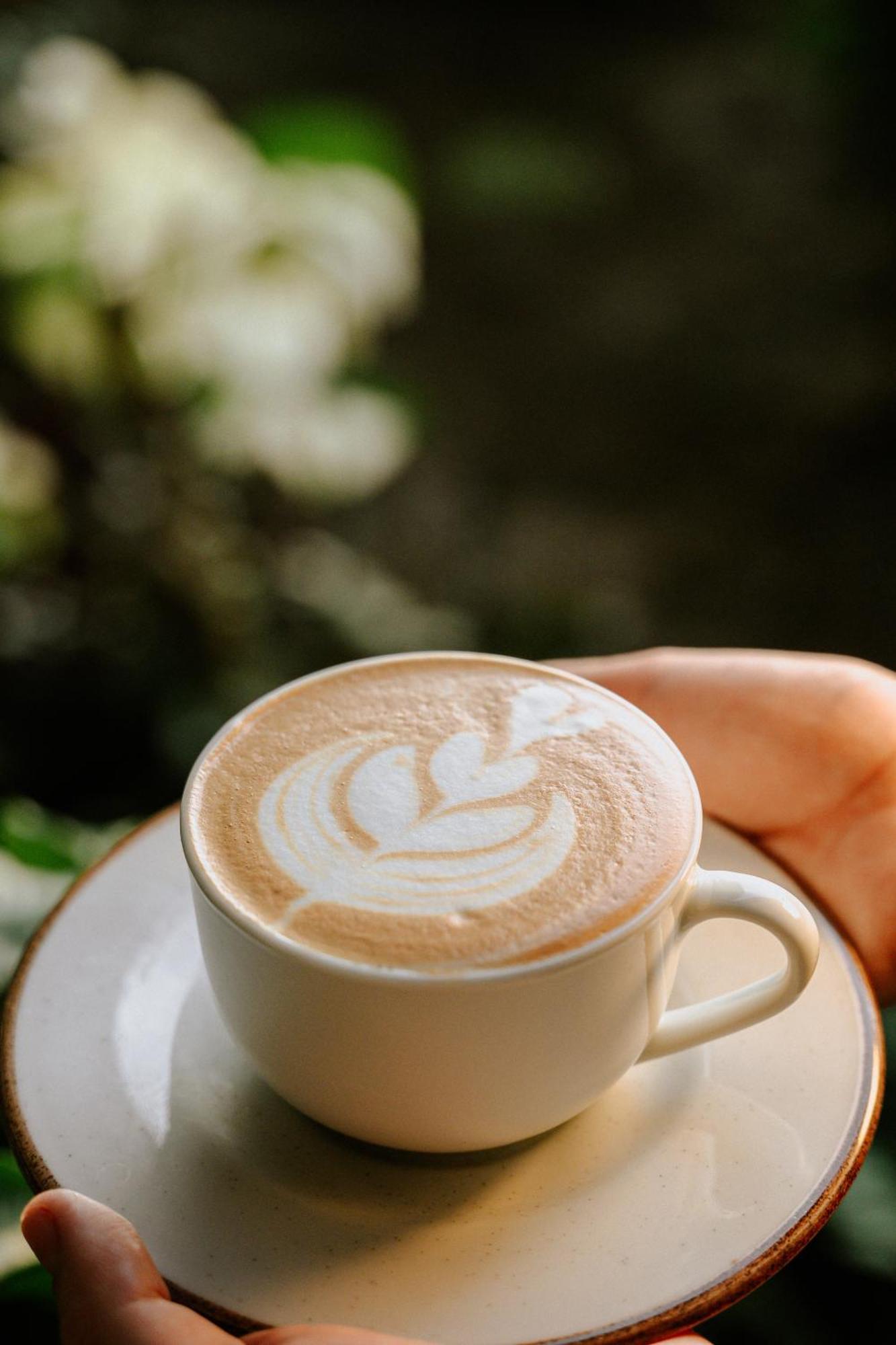 Bonding Coffee Roaster Cafe & Hotel Кепос Екстериор снимка